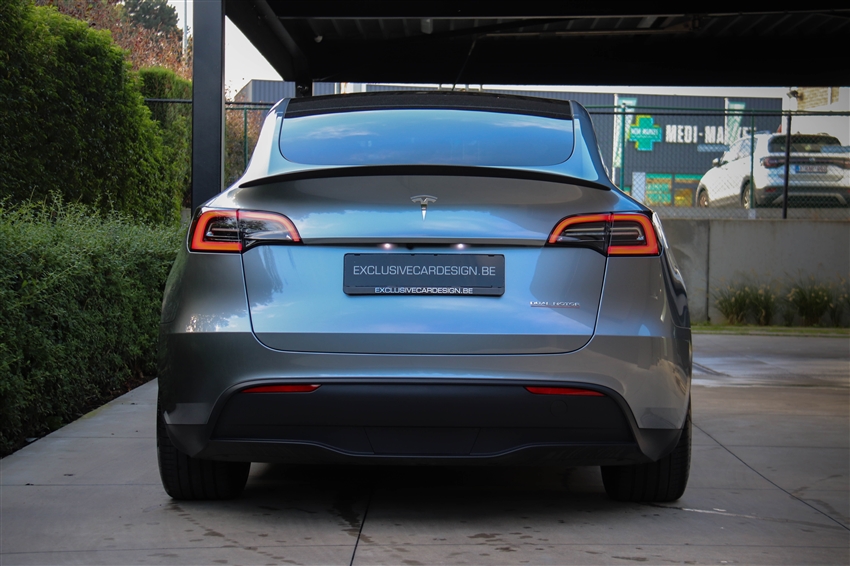 Tesla Model Y Performance